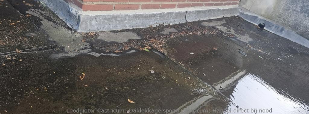 Daklekkage Spoed Castricum