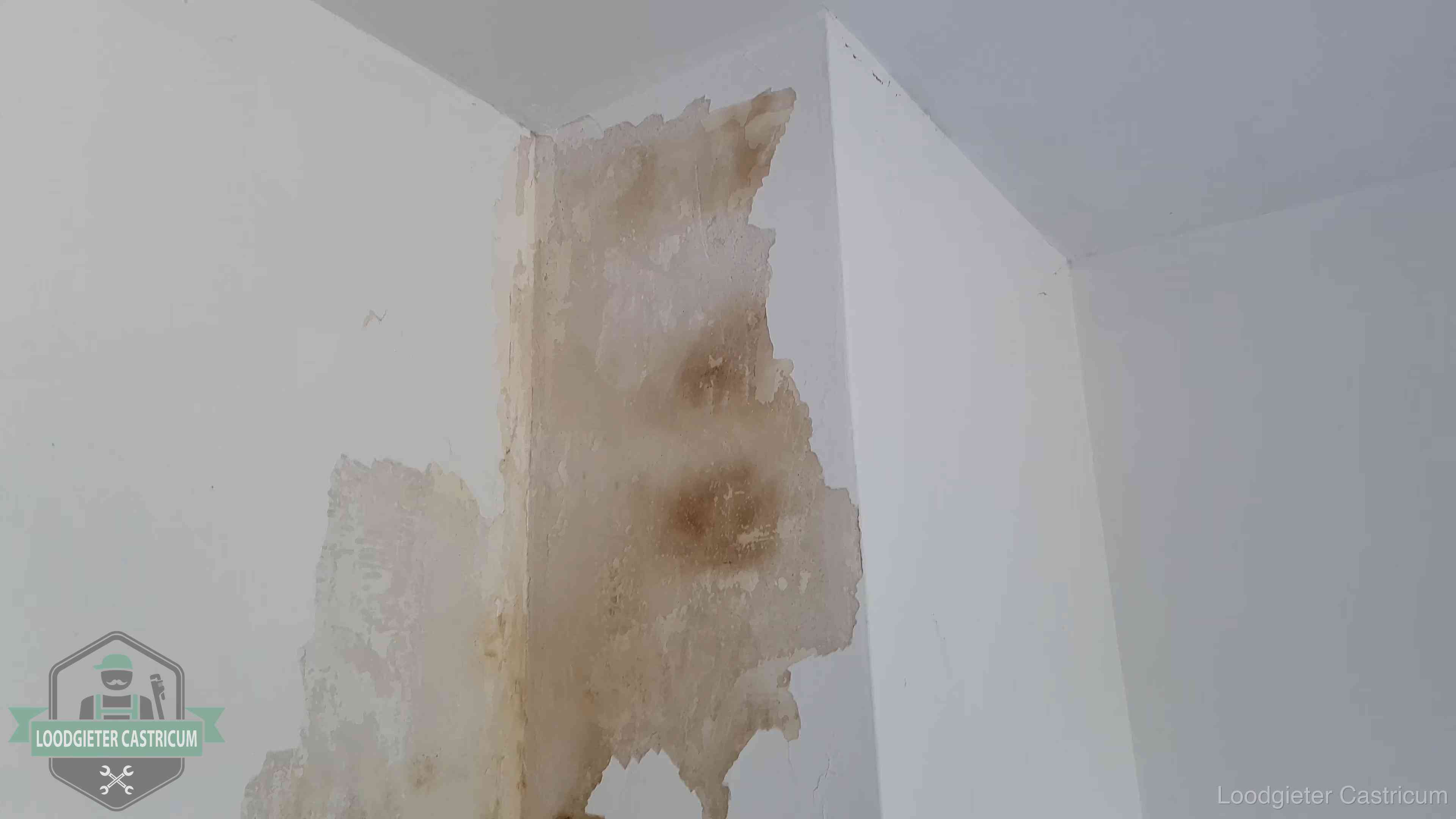 Bruine vochtkringen en afbladderend stucwerk op een binnenmuur in Castricum, een eerste teken van daklekkage