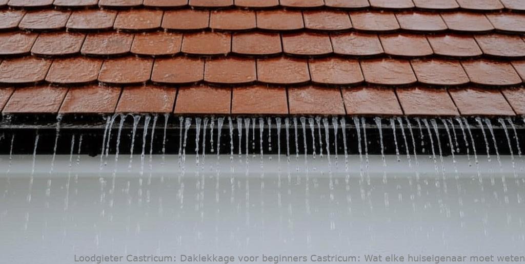 Daklekkage Voor Beginners Castricum