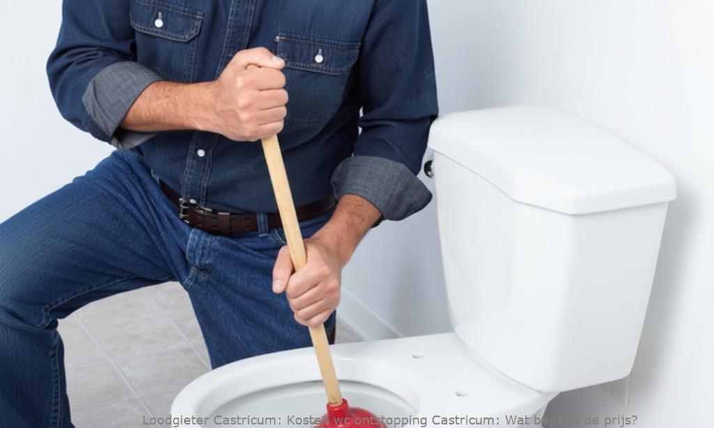 Kosten Wc Ontstopping Castricum