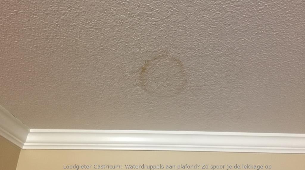 Lekkage Plafond Castricum