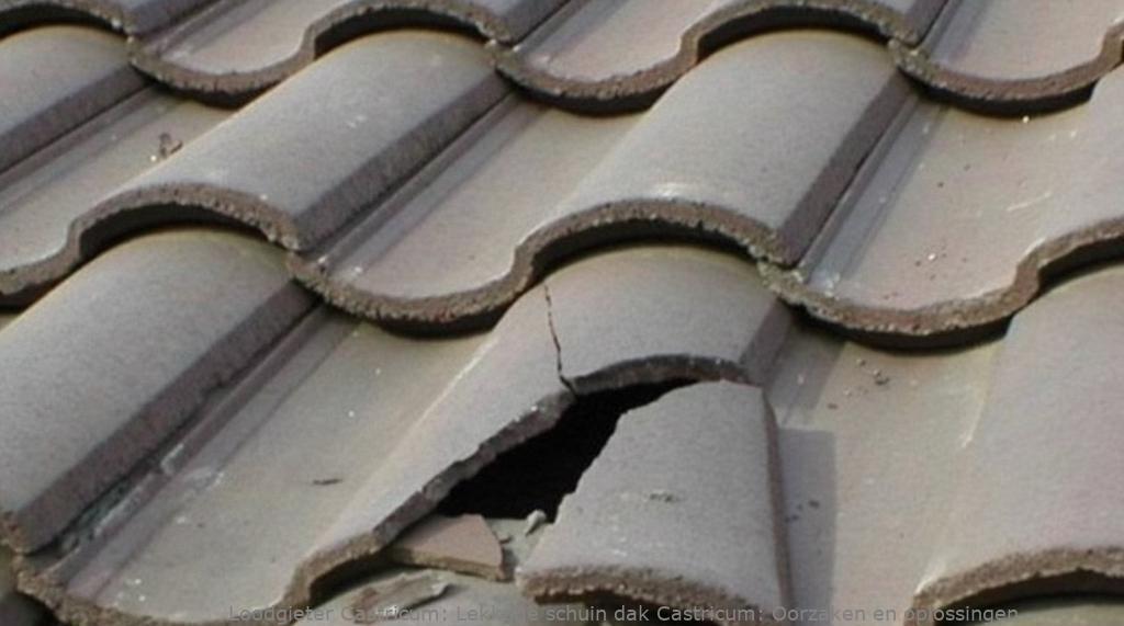 Lekkage Schuin Dak Castricum 1
