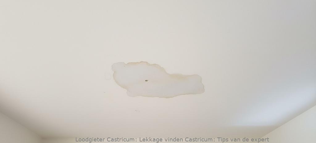 Lekkage Vinden Castricum