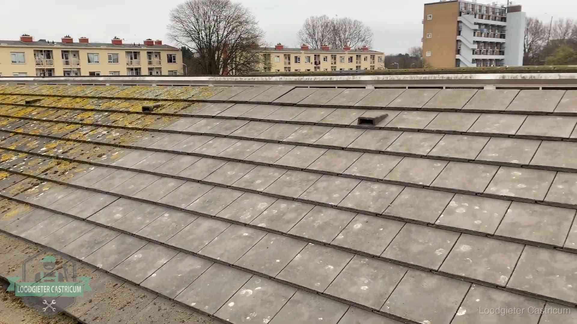Schuin dak met betonpannen vol mos in Castricum, een risico op lekkage bij de pannen