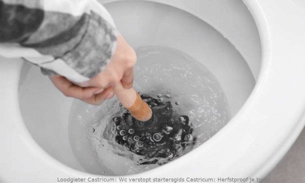 Wc Verstopt Startersgids Castricum